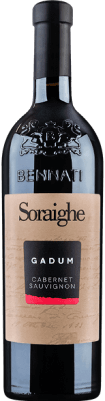 19,95 € Spedizione Gratuita | Vino rosso Bennati Gadum Secco I.G.T. Veneto