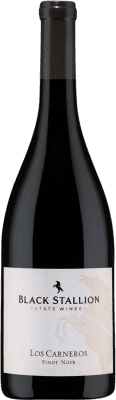 Black Stallion Los Carneros