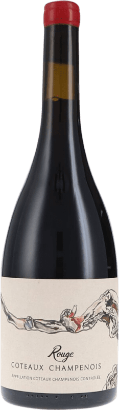 Envio grátis | Vinho tinto De Sousa Rouge Seco A.O.C. Coteaux Champenoise Champagne França Pinot Preto 75 cl