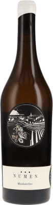 Johannes Zillinger Numen Secco