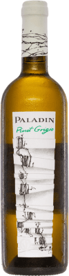 Paladin 干