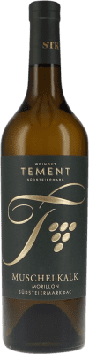 Tement Morillon Muschelkalk Secco