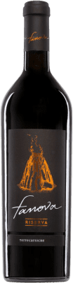 Terrecarsiche 1939 Fanova Primitivo Seco — Secco Puglia Riserva 75 cl
