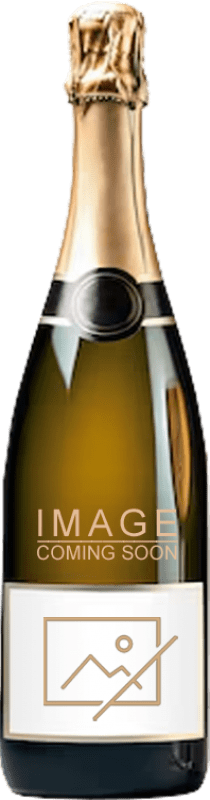 629,95 € | Blanc mousseux Recaredo Turó d'en Mota Enoteca Brut Nature Grande Réserve Corpinnat Catalogne Espagne 75 cl