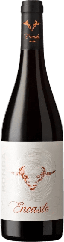 13,95 € | Red Wine Doña Felisa Encaste Cosecha D.O. Sierras de Málaga Spain Tempranillo, Syrah — Shiraz, Garnacha — Grenache 75 cl