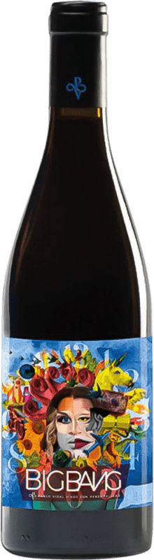 23,95 € Envio grátis | Vinho tinto Pablo Vidal Big Bang D.O. Ribeiro
