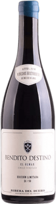 Bendito Destino El Olmar Tempranillo — Темпранильо Ribera del Duero 75 cl