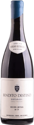 Bendito Destino Hontanares