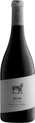 Pago de Aylés Cuesta del Herrero Vino de Pago Aylés 瓶子 Magnum 1,5 L