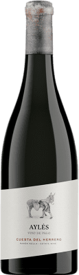 Pago de Aylés Cuesta del Herrero Vino de Pago Aylés 大瓶 — Magnum 1,5 L