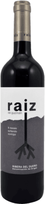 Raiz de Guzmán 9 Meses Tempranillo — Темпранильо Ribera del Duero молодое 75 cl