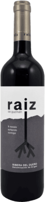 Raiz de Guzmán 9 Meses Tempranillo Ribera del Duero Молодой 75 cl