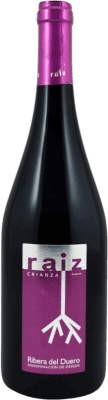 Raiz de Guzmán Crianza