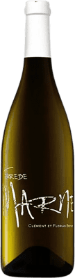 Clément et Florian Berthier Terre de Marne Coteaux du Giennois Sauvignon 75 cl