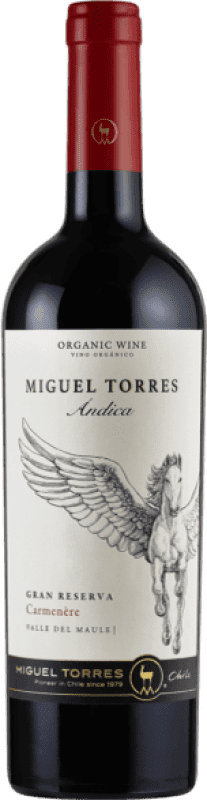 19,95 € 送料無料 | 赤ワイン Torres Ándica I.G. Valle del Maule