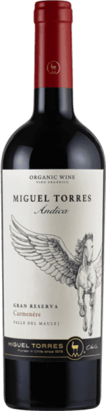 Kostenloser Versand | Rotwein Torres Ándica I.G. Valle del Maule Spanien Carmenère 75 cl Kostenloser Versand | Rotwein Torres Ándica I.G. Valle del Maule Spanien Carmenère 75 cl
