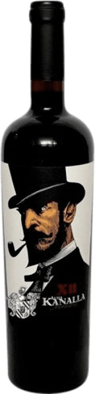 19,95 € Free Shipping | Red wine Alma Kanalla D.O. Jumilla