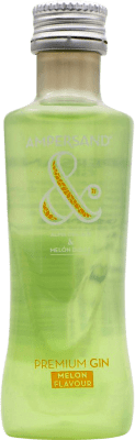 3,95 € Envío gratis | Ginebra Gin Ampersand Botellín Miniatura 5 cl Melón