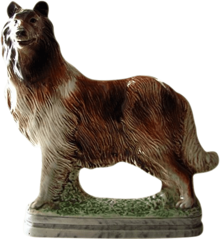 Spedizione Gratuita | Liquori Garnier Frambuesa de L'Archede Collie Berger Francia 70 cl