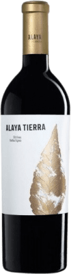 Gil Family Alaya Tierra Grenache Tintorera Almansa マグナムボトル 1,5 L