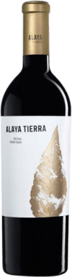 Gil Family Alaya Tierra Garnacha Almansa Botella Magnum 1,5 L