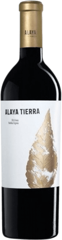 Free Shipping | Red wine Gil Family Alaya Tierra D.O. Almansa Castilla la Mancha Spain Grenache Tintorera Magnum Bottle 1,5 L