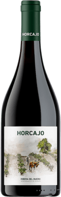 Cepa 21 Horcajo Tempranillo Ribera del Duero 瓶子 Magnum 1,5 L