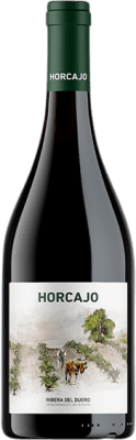 Cepa 21 Horcajo Tempranillo Ribera del Duero Magnumflasche 1,5 L
