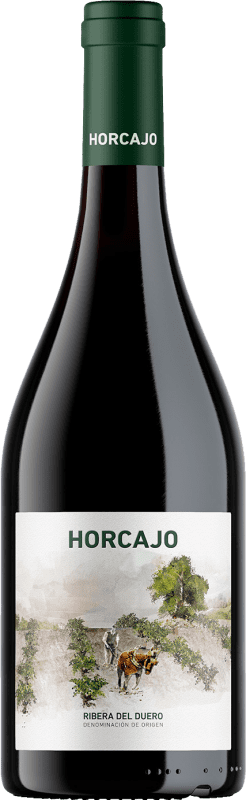 99,95 € | Red wine Cepa 21 Horcajo D.O. Ribera del Duero Castilla y León Spain Tempranillo 75 cl