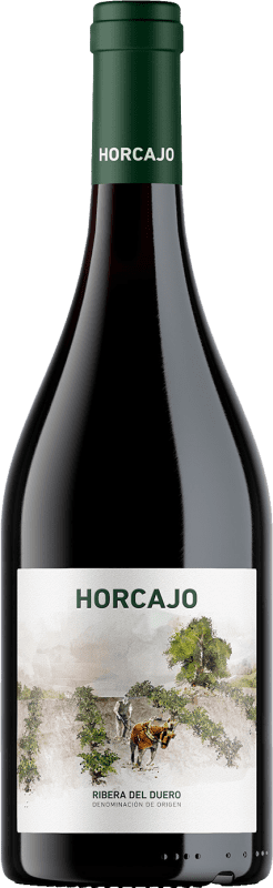 119,95 € Kostenloser Versand | Rotwein Cepa 21 Horcajo D.O. Ribera del Duero