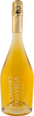 Dominio de la Vega Cerro Tocón