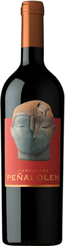 送料無料 | 赤ワイン Clos Quebrada de Macul Peñalolén I.G. Valle del Maipo マイポバレー チリ Carmenère 75 cl