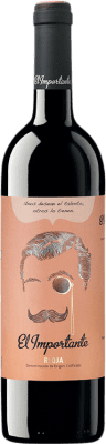 Siete Pasos El Importante Tempranillo Rioja 75 cl