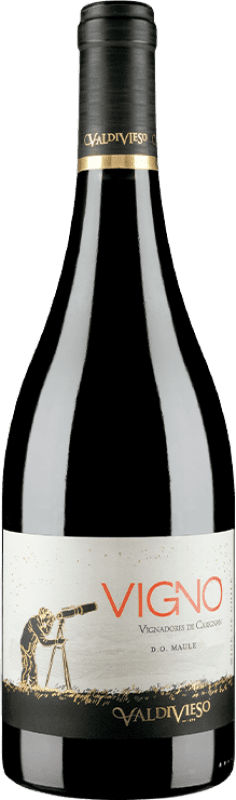 29,95 € | Красное вино Valdivieso Éclat Vigno Vignadores I.G. Valle del Maule Долина Мауле Чили Cariñena — Кариньян, Mourvèdre — Мурведр 75 cl