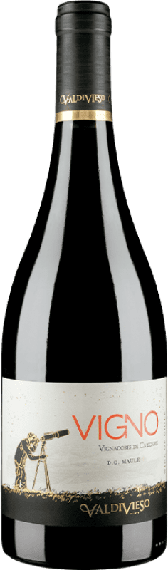 Free Shipping | Red wine Valdivieso Éclat Vigno Vignadores I.G. Valle del Maule Maule Valley Chile Carignan, Mourvèdre 75 cl