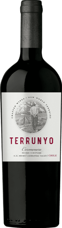 69,95 € | 赤ワイン Concha y Toro Terrunyo D.O. Area Peumo チリ Cabernet Sauvignon, Carmenère 75 cl