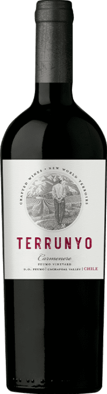 77,95 € | Red wine Concha y Toro Terrunyo D.O. Area Peumo Chile Cabernet Sauvignon, Carmenère 75 cl