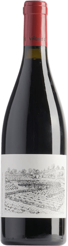 Envío gratis | Vino Tinto Viñedos do Gabian Xanledo D.O. Ribeiro Galicia España Espadeiro, Brancellao, Caíño 75 cl