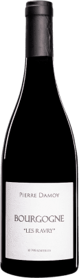 Pierre Damoy Pinot Noir — Spätburgunder Côte de Nuits 75 cl