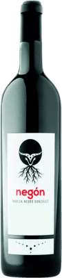 Negro González Negón Ribera del Duero Alterung 75 cl