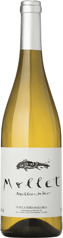 Envio grátis | Vinho branco Celler d'Espollá Cami de Mollet Crianza D.O. Empordà Catalunha Espanha 75 cl