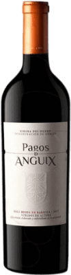 Pagos de Anguix Costalara Reserve — Gereift 1,5 L