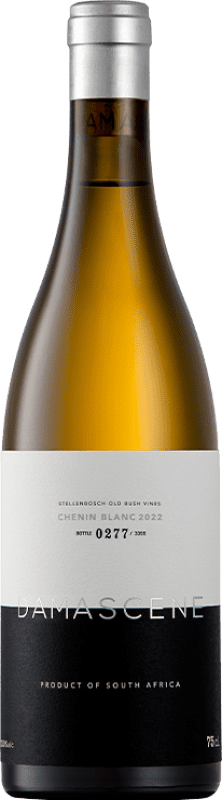 75,95 € Envio grátis | Vinho branco Damascene Old Vines I.G. Stellenbosch