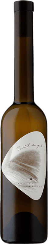 Free Shipping | White wine Enguera Gel D.O. Valencia Valencian Community Spain Verdil Medium Bottle 50 cl