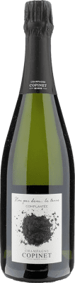 Marie Copinet Nos Pans dans la Terre Champagne 75 cl