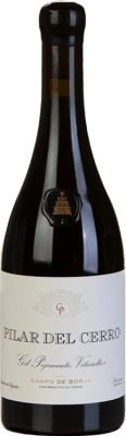 Gil Pejenaute Pilar del Cerro Garnacha — Grenache Campo de Borja 75 cl