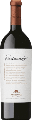 Andeluna Pasionado Cabernet Franc — Каберне Фран Tupungato 75 cl