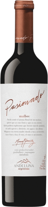 42,95 € Envio grátis | Vinho Tinto Andeluna I.G. Tupungato