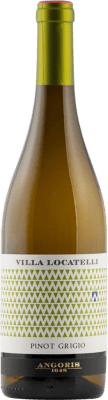 Angoris Villa Locatelli Pinot Cinza Montepulciano d'Abruzzo 75 cl