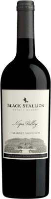 Black Stallion